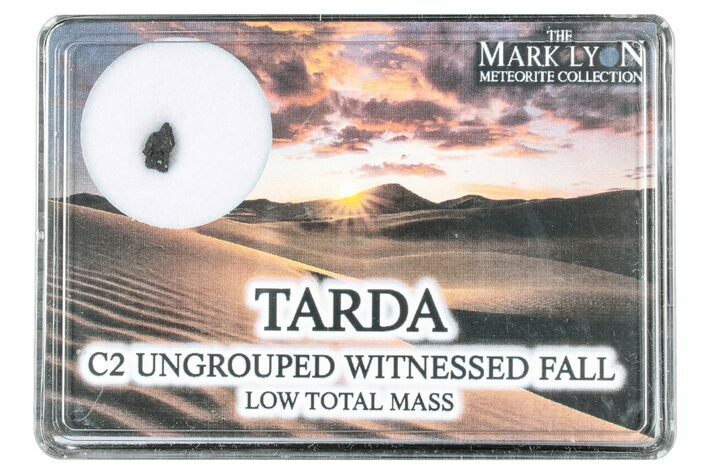 Tarda Meteorite Fragment - Witnessed Fall! #304602